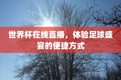 世界杯在线直播，体验足球盛宴的便捷方式