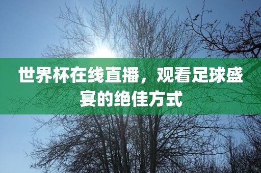 世界杯在线直播，观看足球盛宴的绝佳方式眉山市正发家政服务有限公司