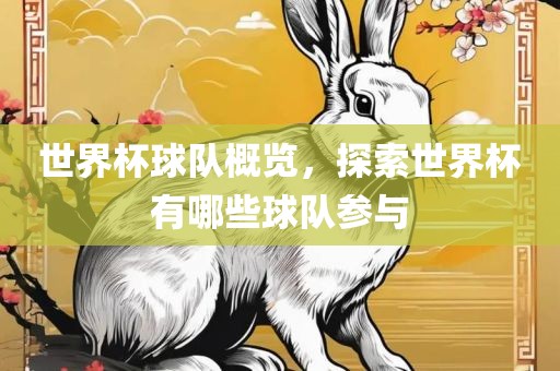 世界杯球队概览，探索世界杯有哪些球队参与