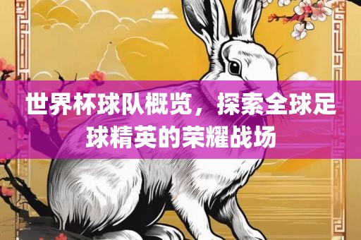 世界杯球队概览，探索全球足球精英的荣耀战场