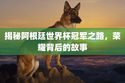 揭秘阿根廷世界杯冠军之路，荣耀背后的故事眉山市正发家政服务有限公司