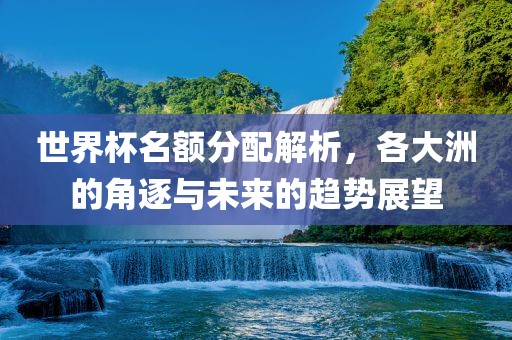 世界杯名额分配解析，各大洲的角逐与未来的趋势展望眉山市正发家政服务有限公司
