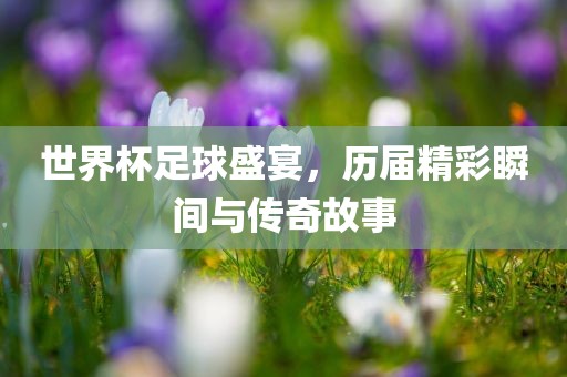 世界杯足球盛宴，历届精彩瞬间与传奇故事眉山市正发家政服务有限公司
