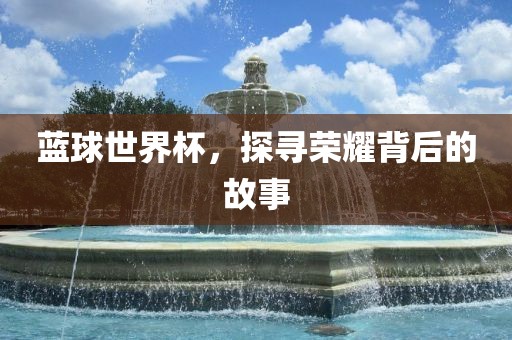 蓝球世界杯，探寻荣耀背后的故眉山市正发家政服务有限公司事