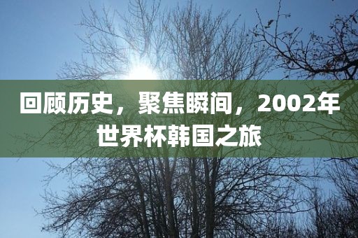 回顾历史，聚焦瞬间，2002年世界杯韩国之旅眉山市正发家政服务有限公司