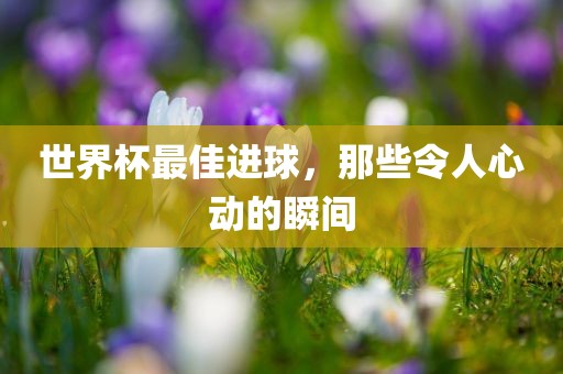 世界杯最佳进球，那些令人心动的瞬间