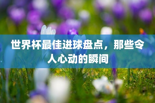 世界杯最佳进球盘点，那些令人心动的瞬间