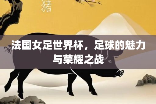 法国女足世界杯，足球的魅力与荣耀之战