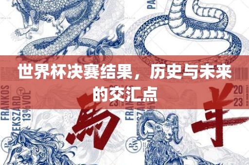 世界杯决赛结果