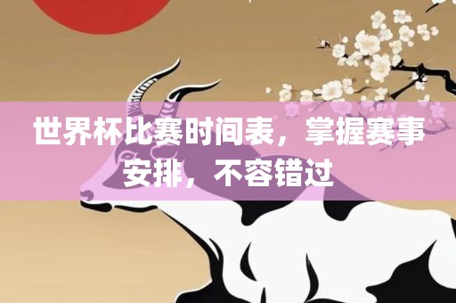 世界杯比赛时间表，掌握赛事安排，不容错过