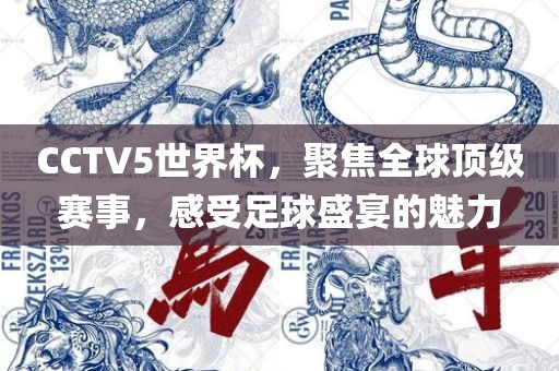 CCTV5世界杯，聚焦全球顶级赛事，感受足球眉山市正发家政服务有限公司盛宴的魅力