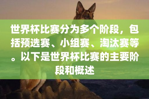 世界杯比赛分为多个阶段，包括预选赛、小组赛、淘汰赛等。以下是世界杯比赛的主要阶段和概述