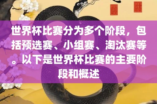 世界杯比赛分为多个阶段，包括预选赛、小组赛、淘汰赛等。以下是世界杯比赛的主要阶段和概述
