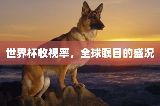 世界杯收视率，全球瞩目的盛况