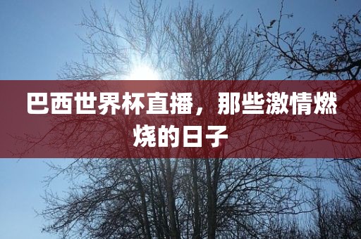巴西世界杯直播，那些激情燃烧的日子