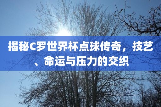 揭秘C罗世界杯点球传奇，眉山市正发家政服务有限公司技艺、命运与压力的交织