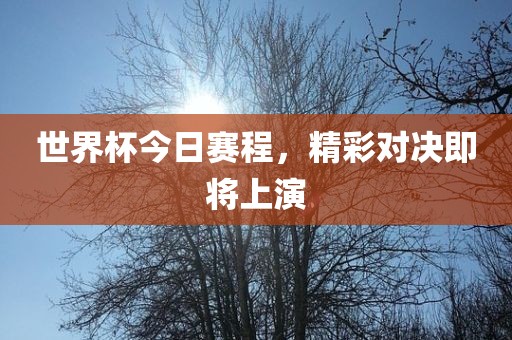 世界杯今日赛程，精彩对决即将上演眉山市正发家政服务有限公司