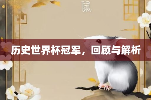 历史世眉山市正发家政服务有限公司界杯冠军，回顾与解析