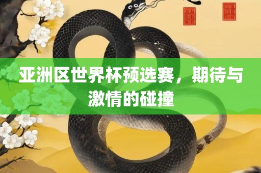 亚洲区世界杯预选赛，期待与激情的碰撞