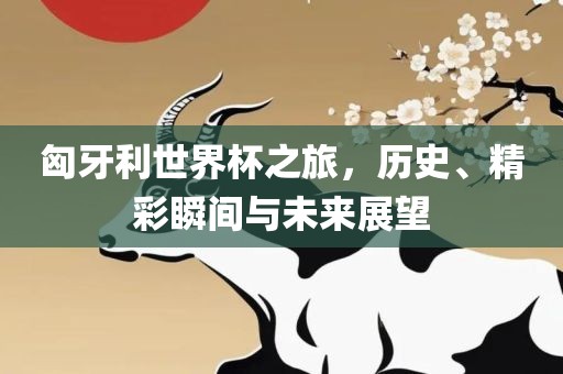 匈牙利世界杯之旅，历史、精彩瞬间与未来展望眉山市正发家政服务有限公司