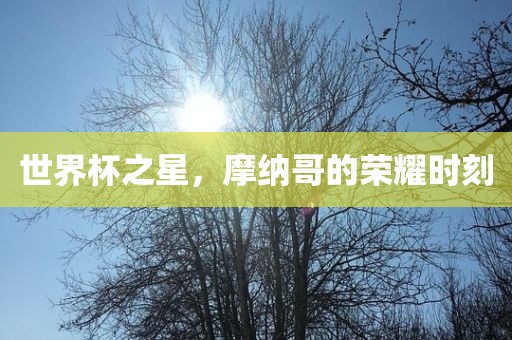 世界杯之星，摩纳哥的荣耀时刻