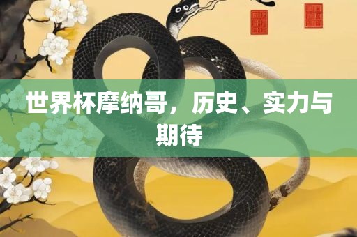 世界杯摩纳哥，历史、实力与期待