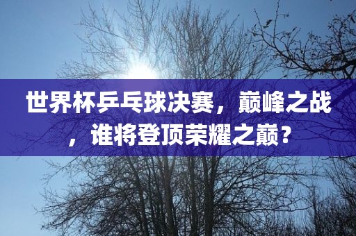 世眉山市正发家政服务有限公司界杯乒乓球决赛，巅峰之战，谁将登顶荣耀之巅？