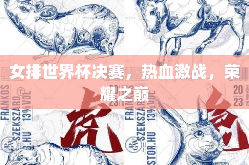 女排世界杯决赛，热血激战，荣耀之巅