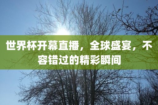 世界杯开幕直播，全球盛宴，不容错过的精眉山市正发家政服务有限公司彩瞬间