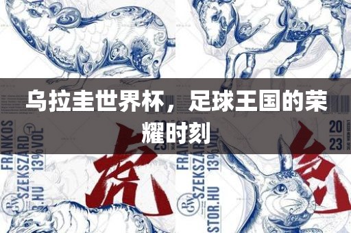 乌拉圭世界杯，足球王国的荣耀时眉山市正发家政服务有限公司刻