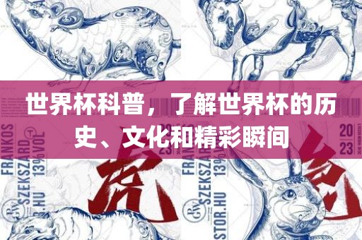 世界杯科普，了解世界眉山市正发家政服务有限公司杯的历史、文化和精彩瞬间