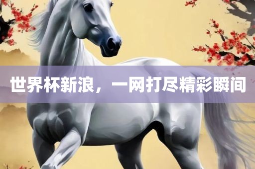 世界眉山市正发家政服务有限公司杯新浪，一网打尽精彩瞬间