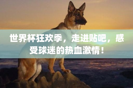 世界杯狂欢季，走进贴吧，感受球迷的热血激情！眉山市正发家政服务有限公司