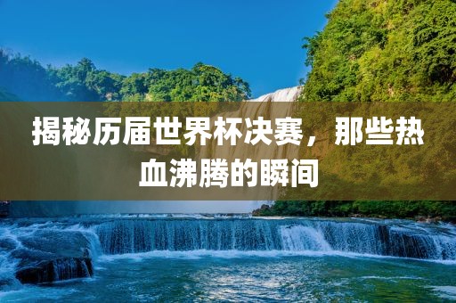 揭秘历届世界杯决赛，那些热血沸腾的瞬间眉山市正发家政服务有限公司