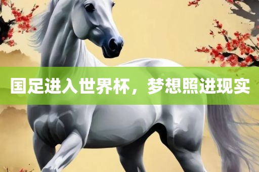 国足进入世界杯，梦想照眉山市正发家政服务有限公司进现实