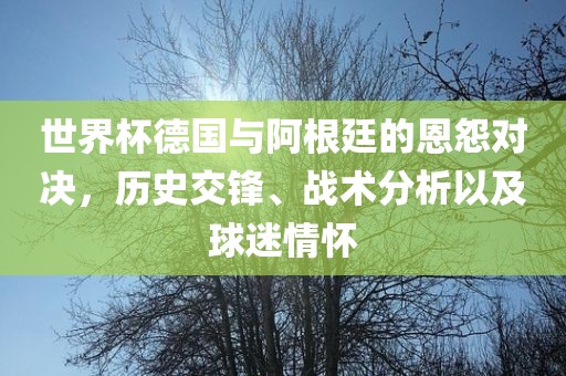 世界杯德国与阿根廷的恩怨对决，历史交锋、战术分析以及球迷情怀