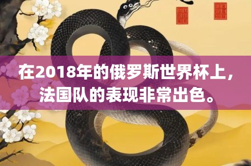 在2018年的俄罗斯世界杯上，法国队的表现非常出色。