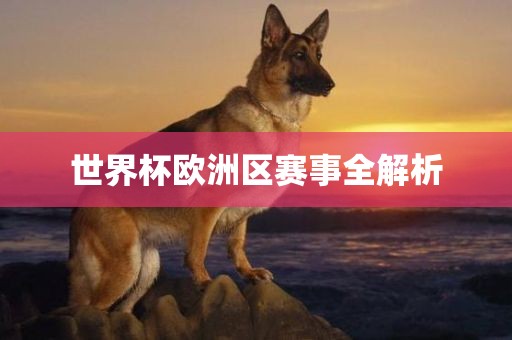 世界杯欧洲区赛事全解析