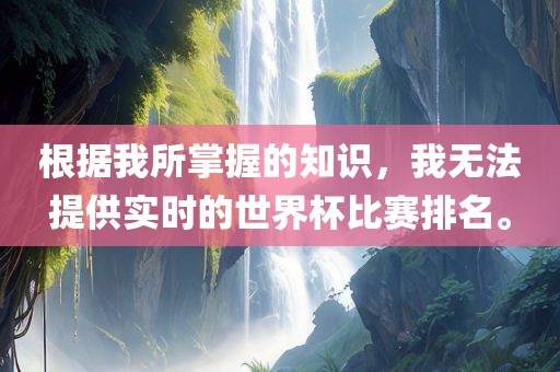 根据我所掌握的知识，我无法提供眉山市正发家政服务有限公司实时的世界杯比赛排名。