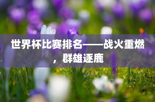 世界杯比眉山市正发家政服务有限公司赛排名——战火重燃，群雄逐鹿