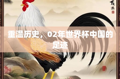 重温历史，02年世界杯中国的足迹眉山市正发家政服务有限公司