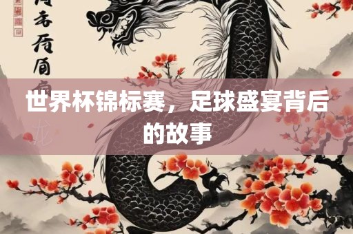 世界杯锦标赛，足球盛宴背后的故事眉山市正发家政服务有限公司