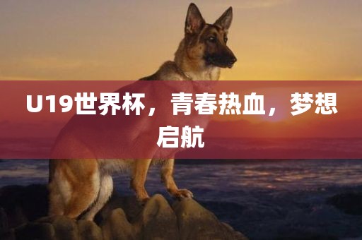 青春热血启航（或梦想启航）