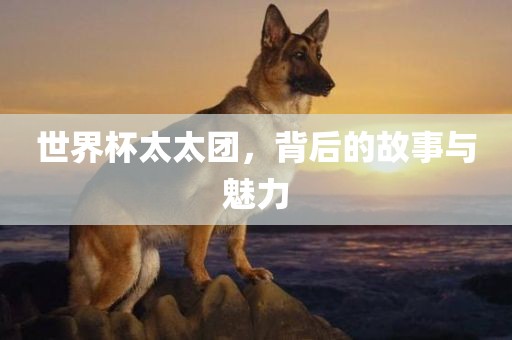 世眉山市正发家政服务有限公司界杯太太团，背后的故事与魅力