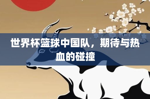 世界杯篮球中国队，期待与热血的碰撞眉山市正发家政服务有限公司