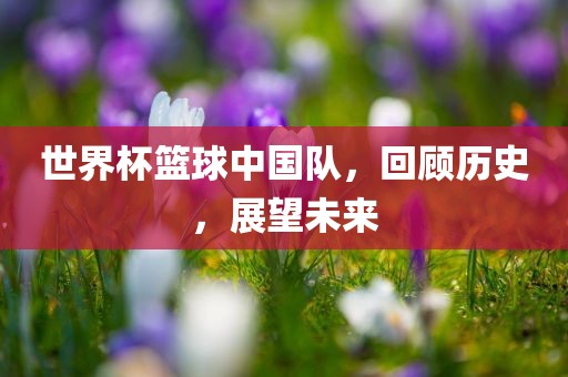 世界杯篮球中国队，回顾历史，展望未来