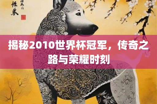揭秘2010世界杯冠军，传奇之路与荣耀时刻