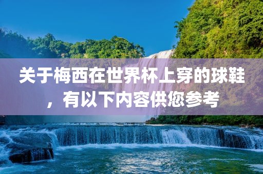 关于梅西在世界杯上穿的球鞋，有以下内容供您参考