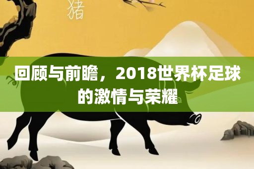 回顾与前瞻，2018世界杯足球的激情与荣眉山市正发家政服务有限公司耀