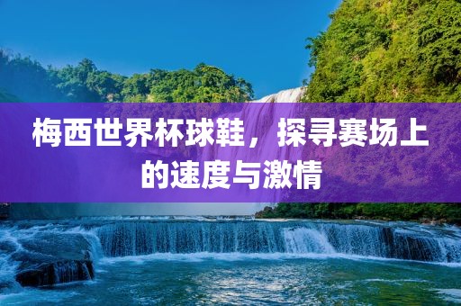 梅西世界杯球鞋，探寻赛场上的速度与激情眉山市正发家政服务有限公司